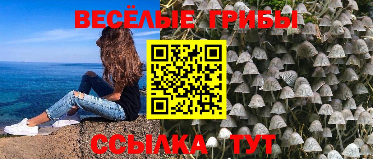 Галлюциногенные грибы GOLDEN TEACHER Ялта